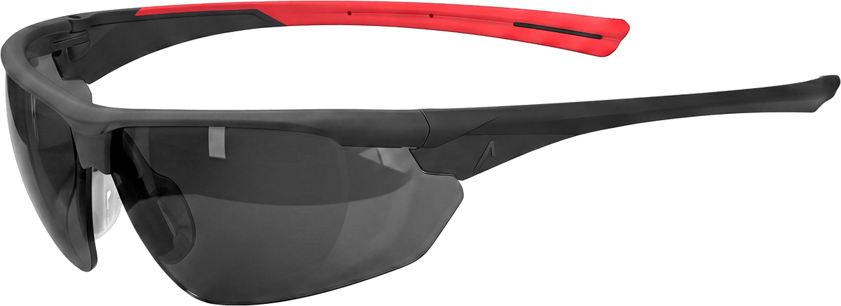 ACE Evo Schutzbrille